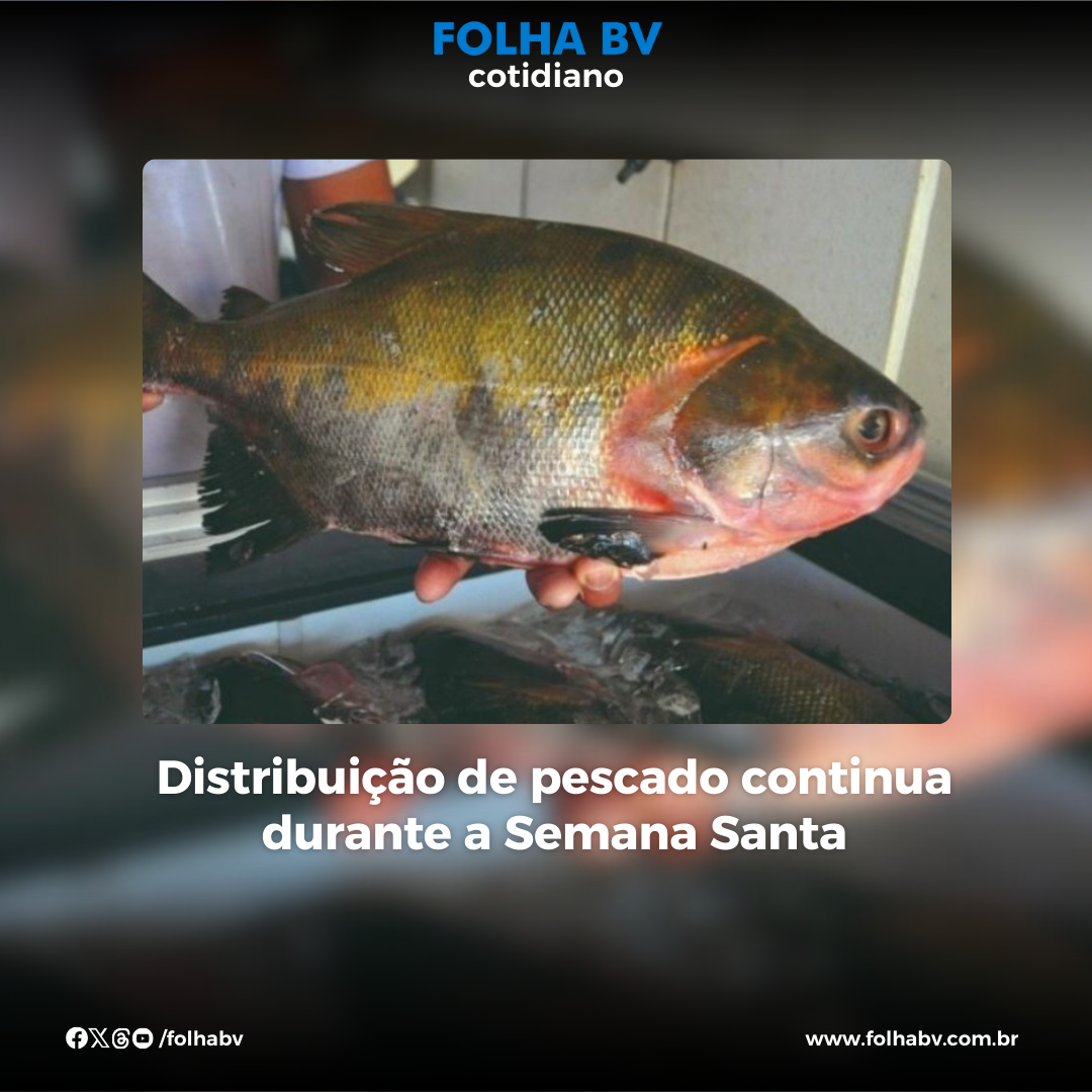 https://www.folhabv.com.br/cotidiano/distribuicao-de-pescado-continua-durante-a-semana-santa/