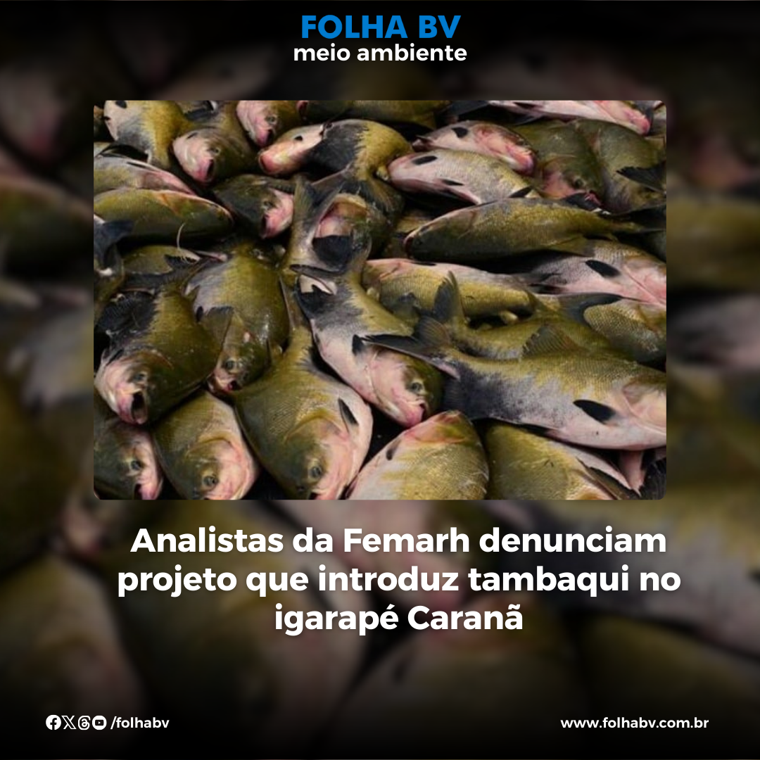 https://www.folhabv.com.br/cotidiano/meio-ambiente/analistas-da-femarh-denunciam-projeto-que-introduz-tambaqui-no-igarape-carana/