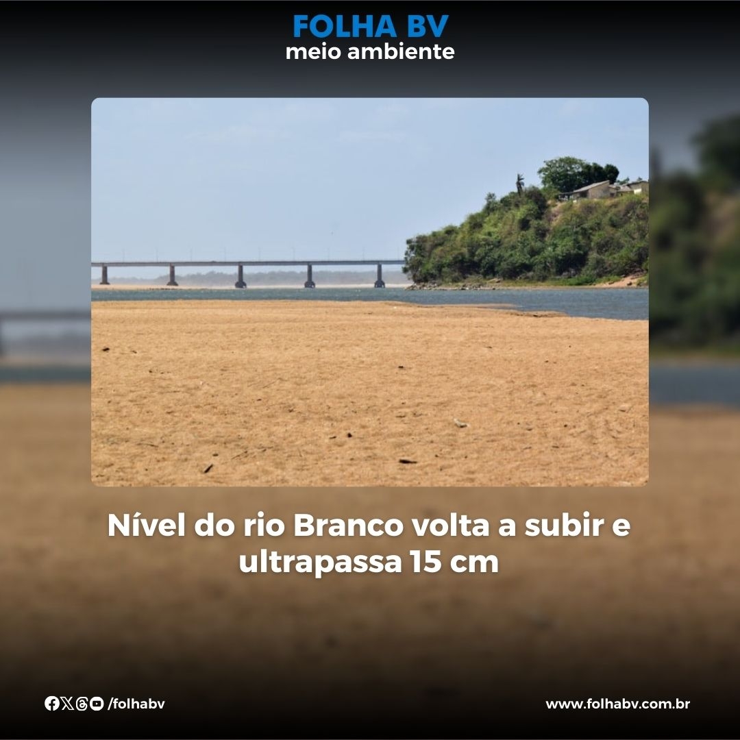 https://www.folhabv.com.br/cotidiano/meio-ambiente/nivel-do-rio-branco-volta-a-subir-e-ultrapassa-15-cm/