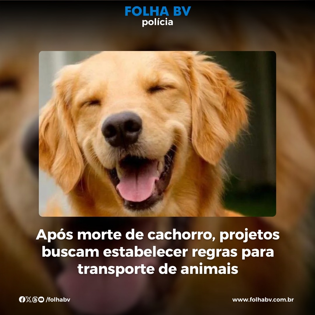 https://www.folhabv.com.br/policia/apos-morte-de-cachorro-projetos-buscam-estabelecer-regras-para-transporte-de-animais/
