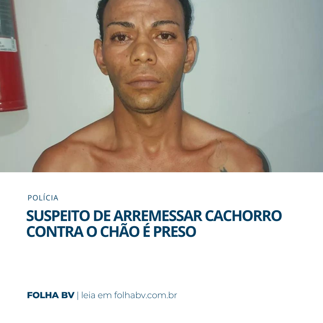 https://www.folhabv.com.br/policia/suspeito-de-arremessar-cachorro-contra-o-chao-e-preso/
