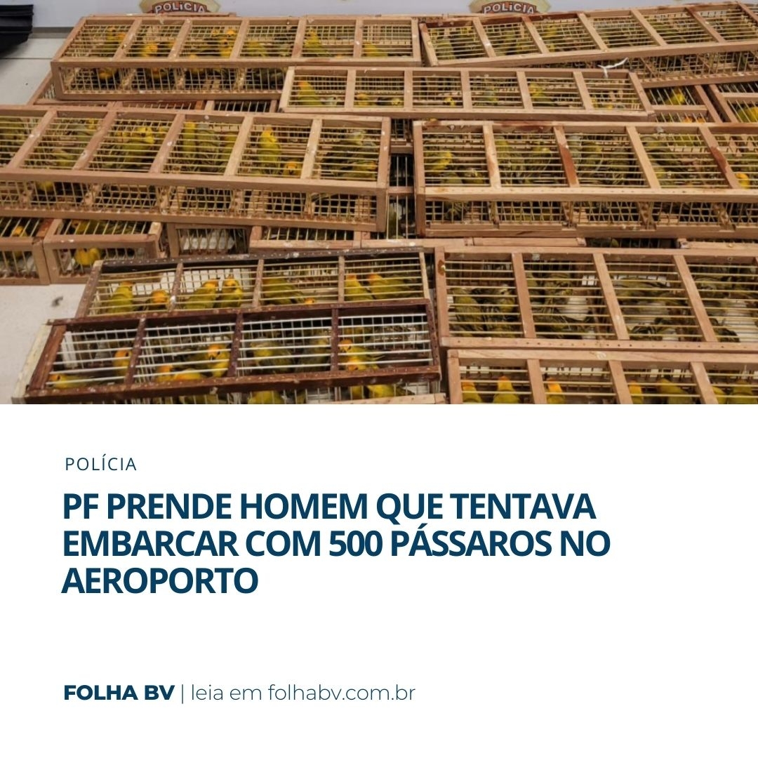 https://www.folhabv.com.br/policia/pf-prende-homem-que-tentava-embarcar-com-500-passaros-no-aeroporto/