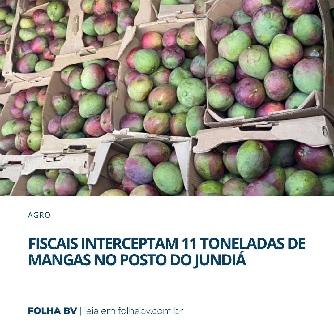 https://www.folhabv.com.br/agro/fiscais-interceptam-11-toneladas-de-mangas-no-posto-do-jundia/