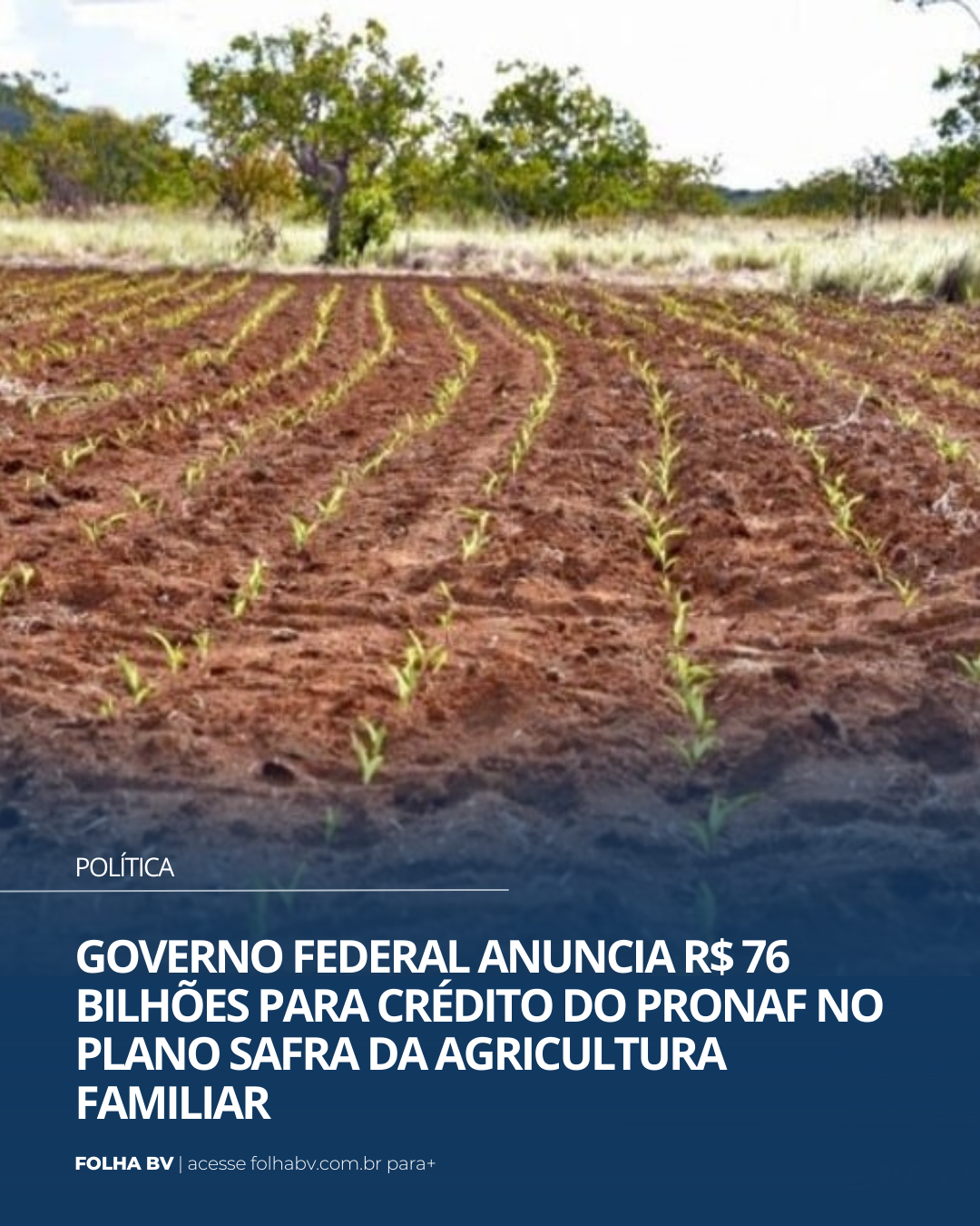 https://www.folhabv.com.br/cotidiano/governo-federal-anuncia-r-76-bilhoes-para-credito-do-pronaf-no-plano-safra-da-agricultura-familiar/