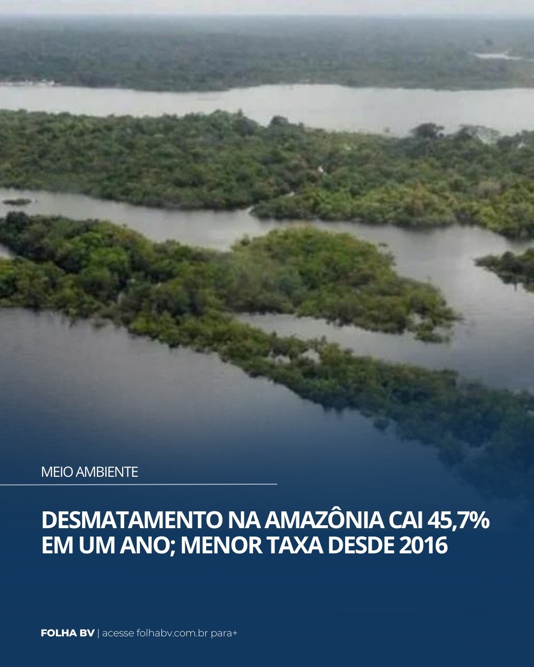 https://www.folhabv.com.br/cotidiano/meio-ambiente/desmatamento-na-amazonia-cai-457-em-um-ano-menor-taxa-desde-2016/