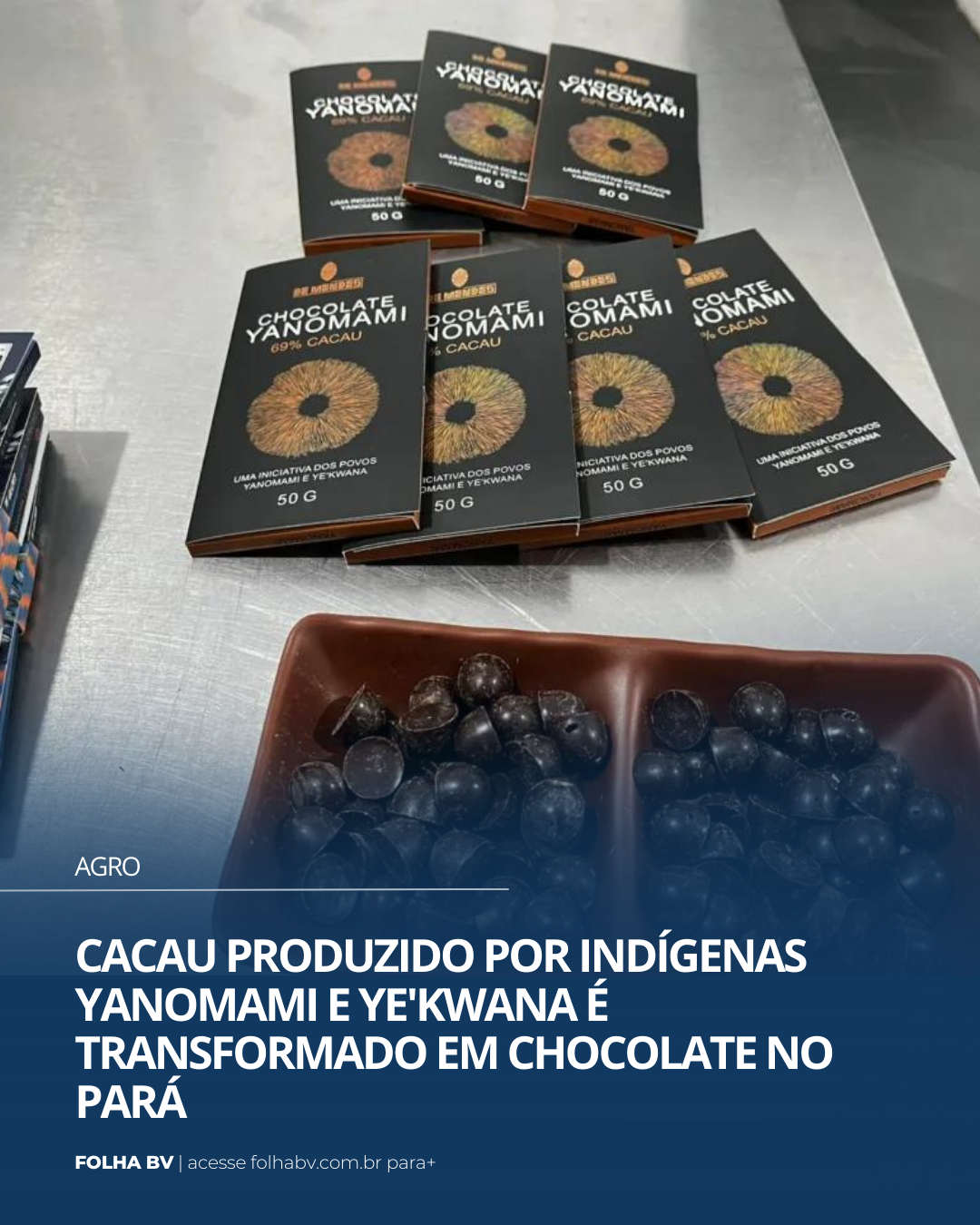 https://www.folhabv.com.br/agro/cacau-produzido-por-indigenas-yanomami-e-yekwana-e-transformado-em-chocolate-no-para/