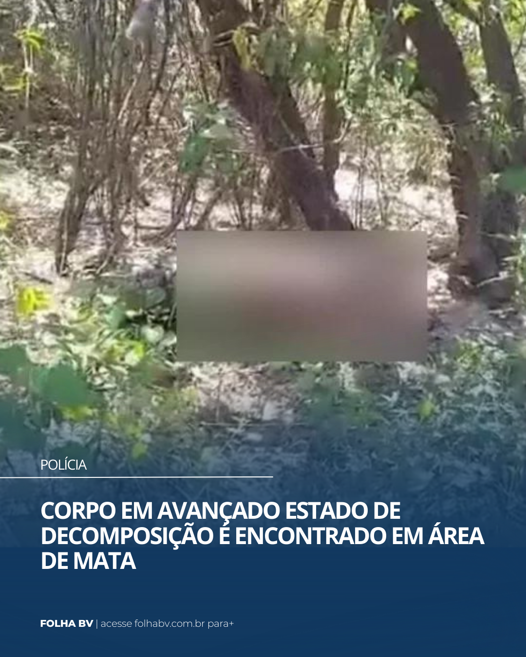 https://www.folhabv.com.br/policia/corpo-em-avancado-estado-de-decomposicao-e-encontrado-em-area-de-mata/