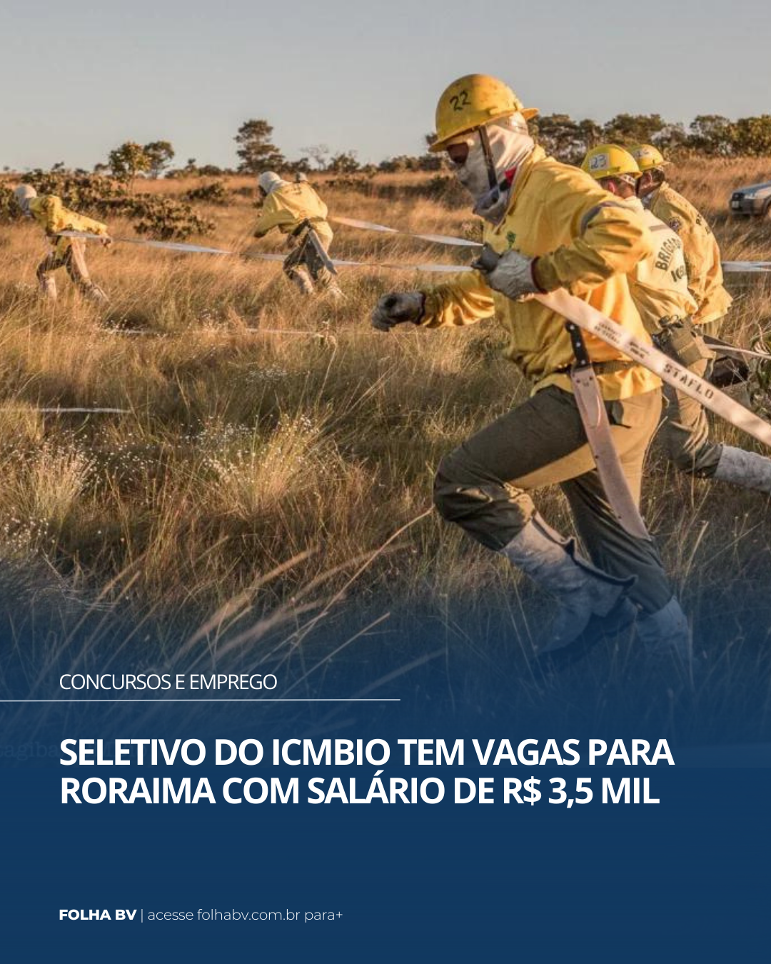 https://www.folhabv.com.br/concursos-e-emprego/seletivo-do-icmbio-tem-vagas-para-roraima-com-salario-de-r-35-mil/