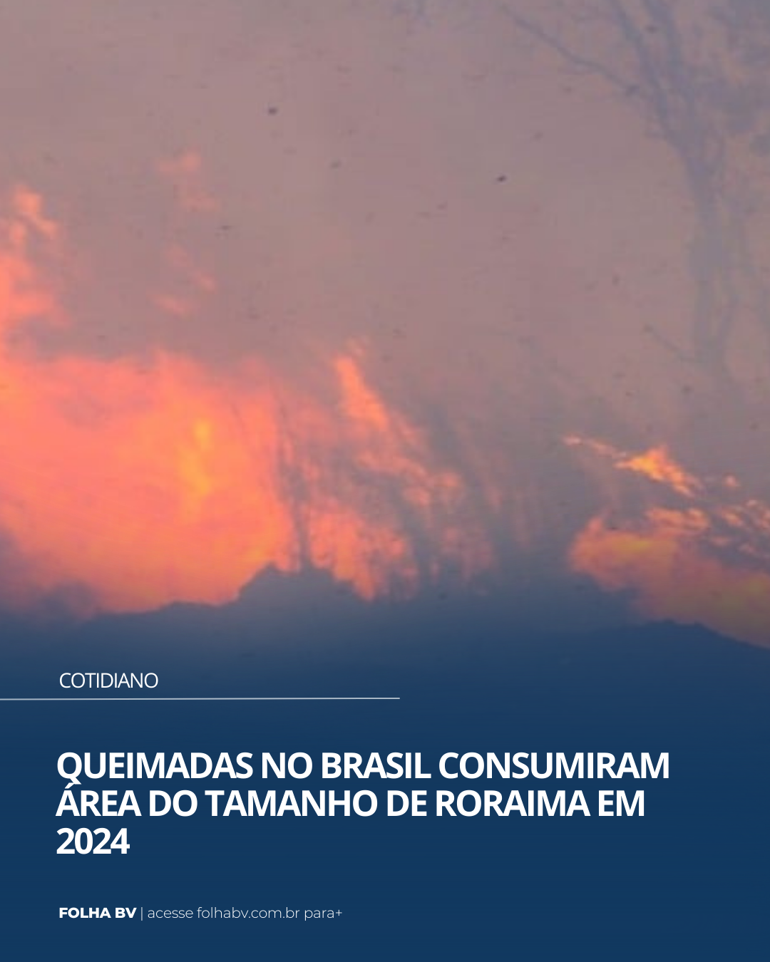 https://www.folhabv.com.br/cotidiano/queimadas-no-brasil-consumiram-area-do-tamanho-de-roraima-em-2024/