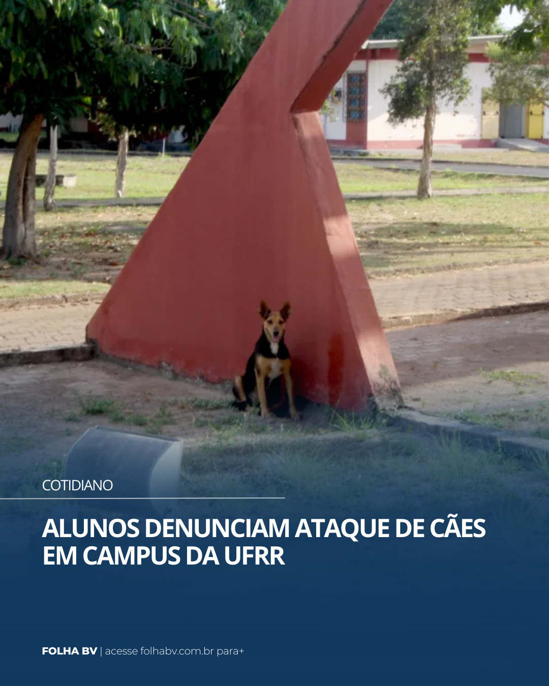 https://www.folhabv.com.br/cotidiano/alunos-denunciam-ataque-de-caes-em-campus-da-ufrr/