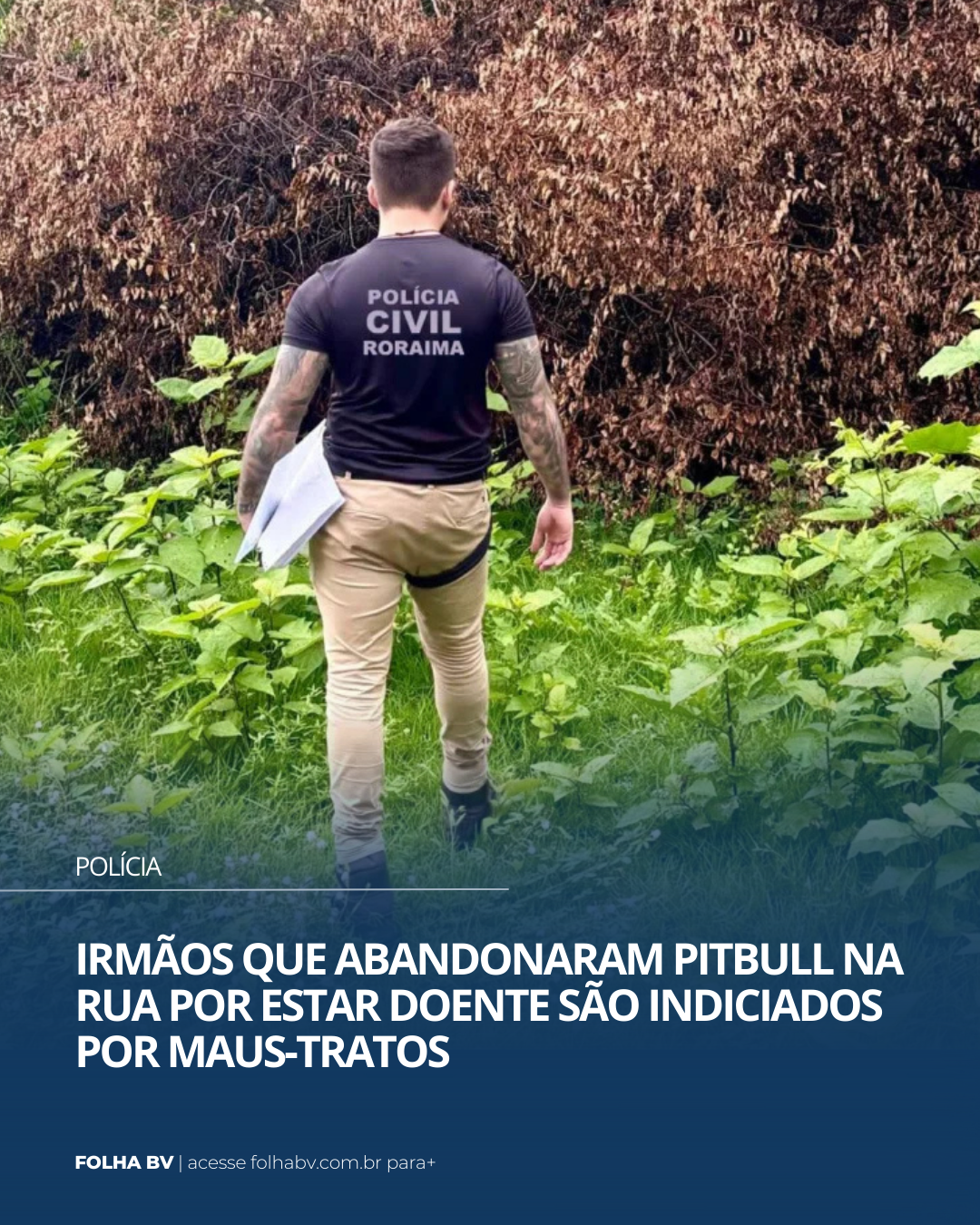 https://www.folhabv.com.br/policia/irmaos-que-abandonaram-pitbull-na-rua-por-estar-doente-sao-indiciados-por-maus-tratos/