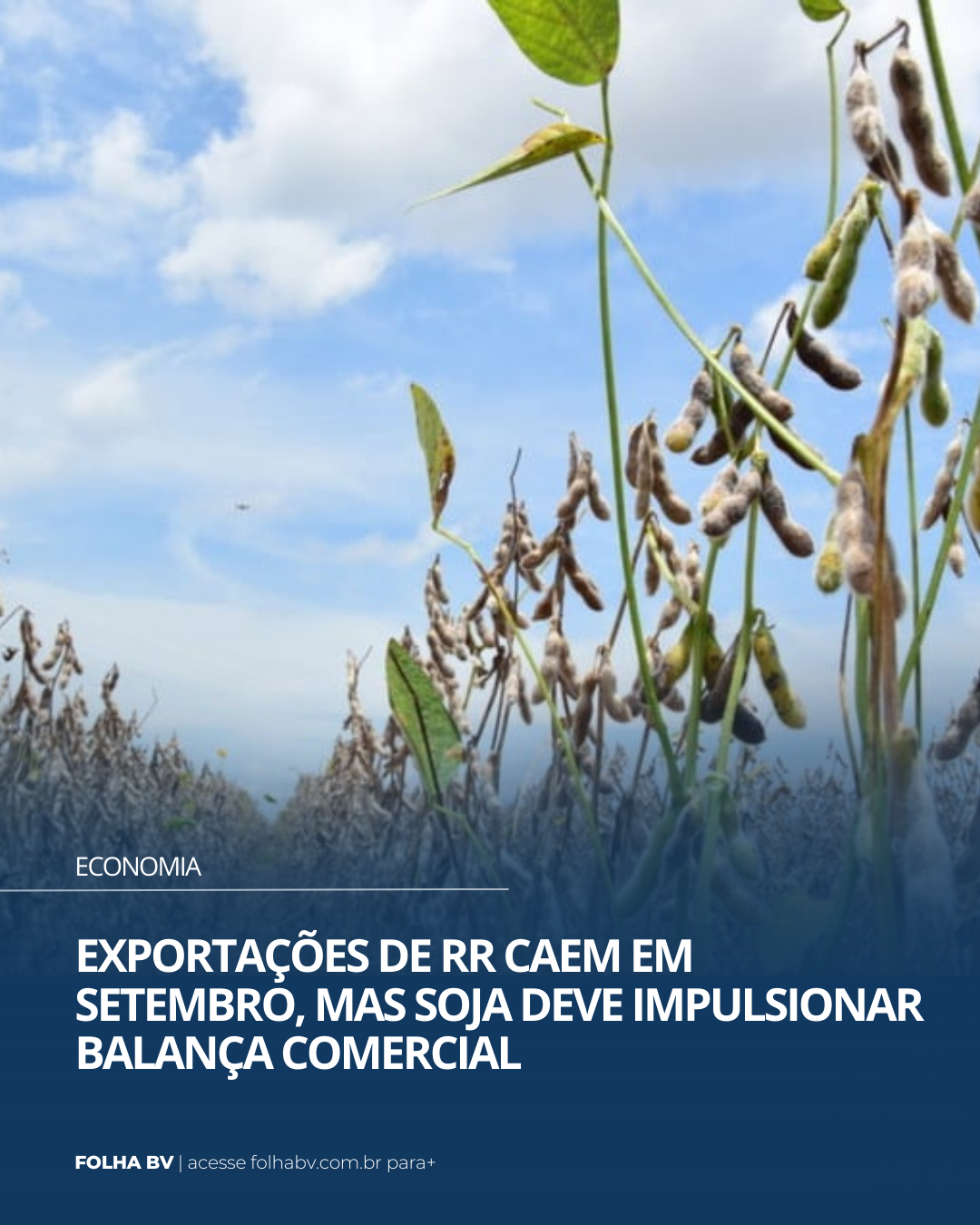 https://www.folhabv.com.br/economia/exportacoes-de-rr-caem-em-setembro-mas-soja-deve-impulsionar-balanca-comercial/