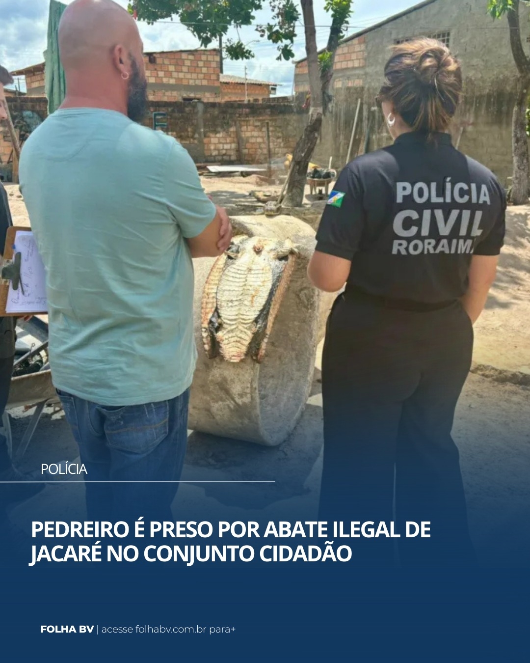 https://www.folhabv.com.br/policia/pedreiro-e-preso-por-abate-ilegal-de-jacare-no-conjunto-cidadao/