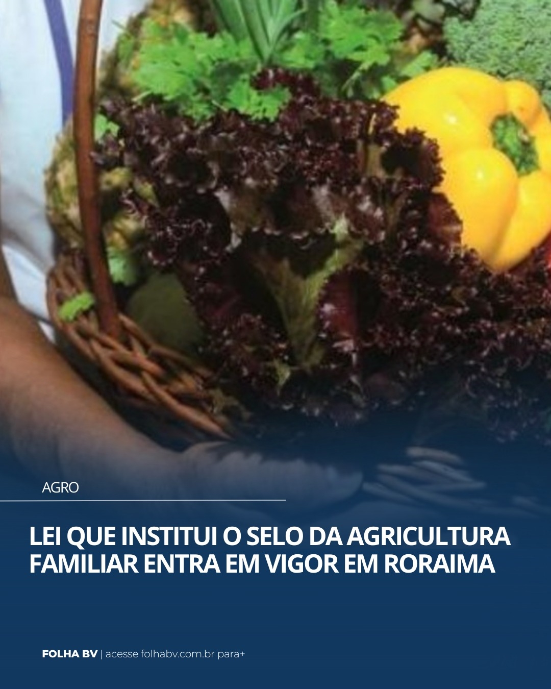 https://www.folhabv.com.br/agro/lei-que-institui-o-selo-da-agricultura-familiar-entra-em-vigor-em-roraima/