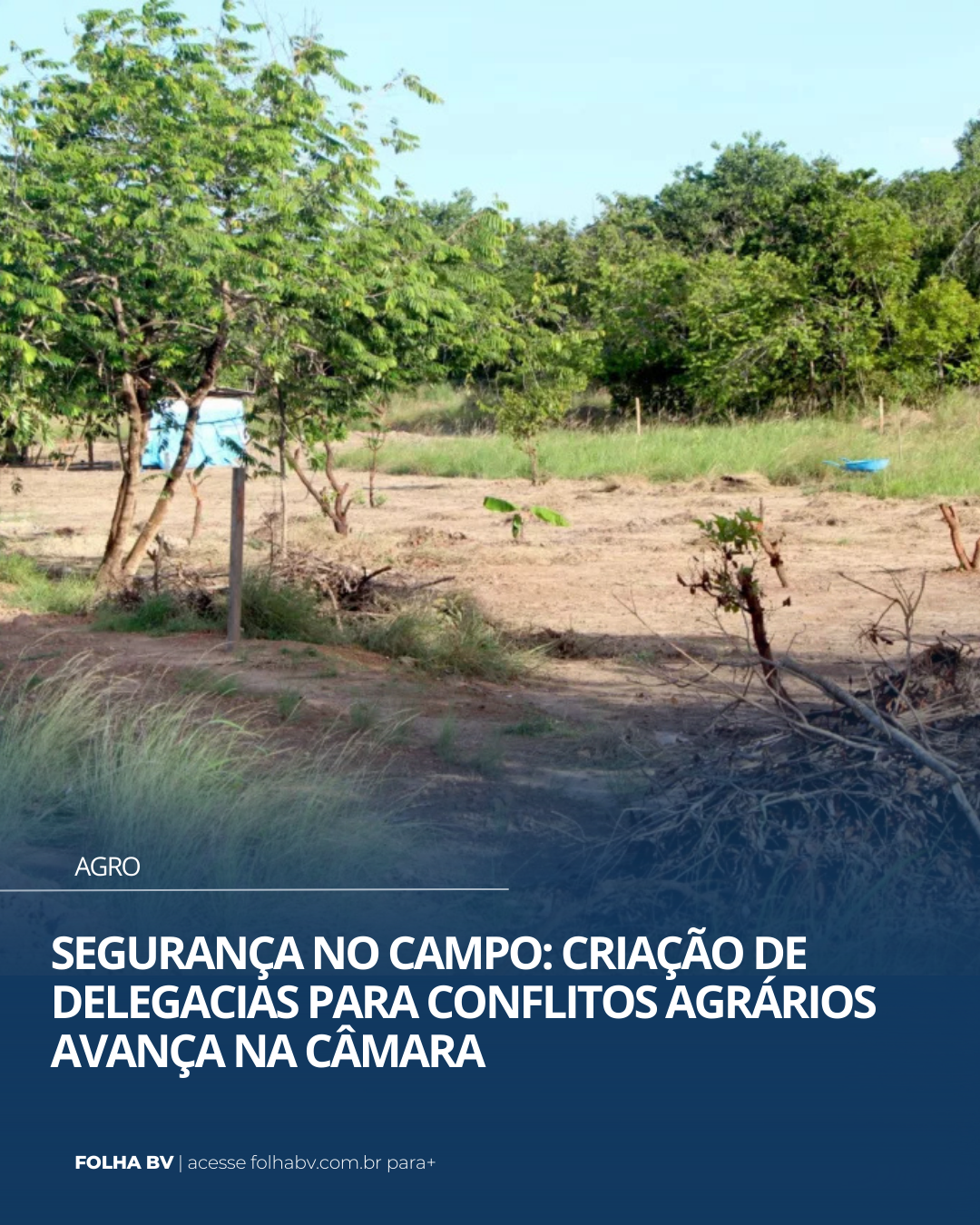 https://www.folhabv.com.br/agro/seguranca-no-campo-criacao-de-delegacias-para-conflitos-agrarios-avanca-na-camara/