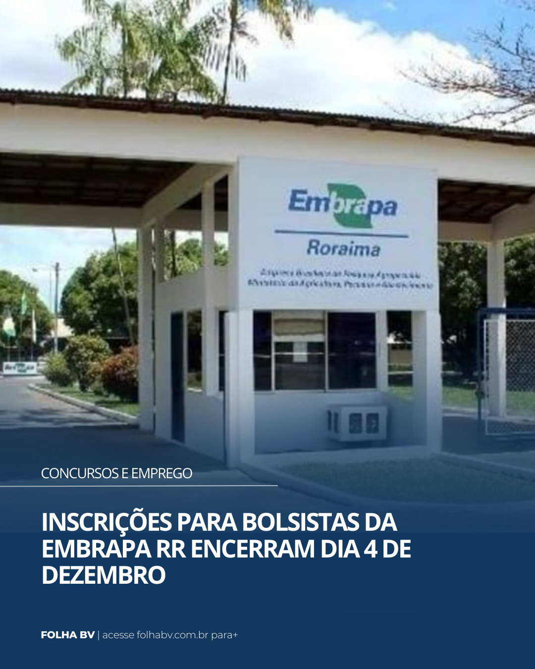 https://www.folhabv.com.br/concursos-e-emprego/inscricoes-para-bolsistas-do-embrapa-rr-encerram-dia-4-de-dezembro/
