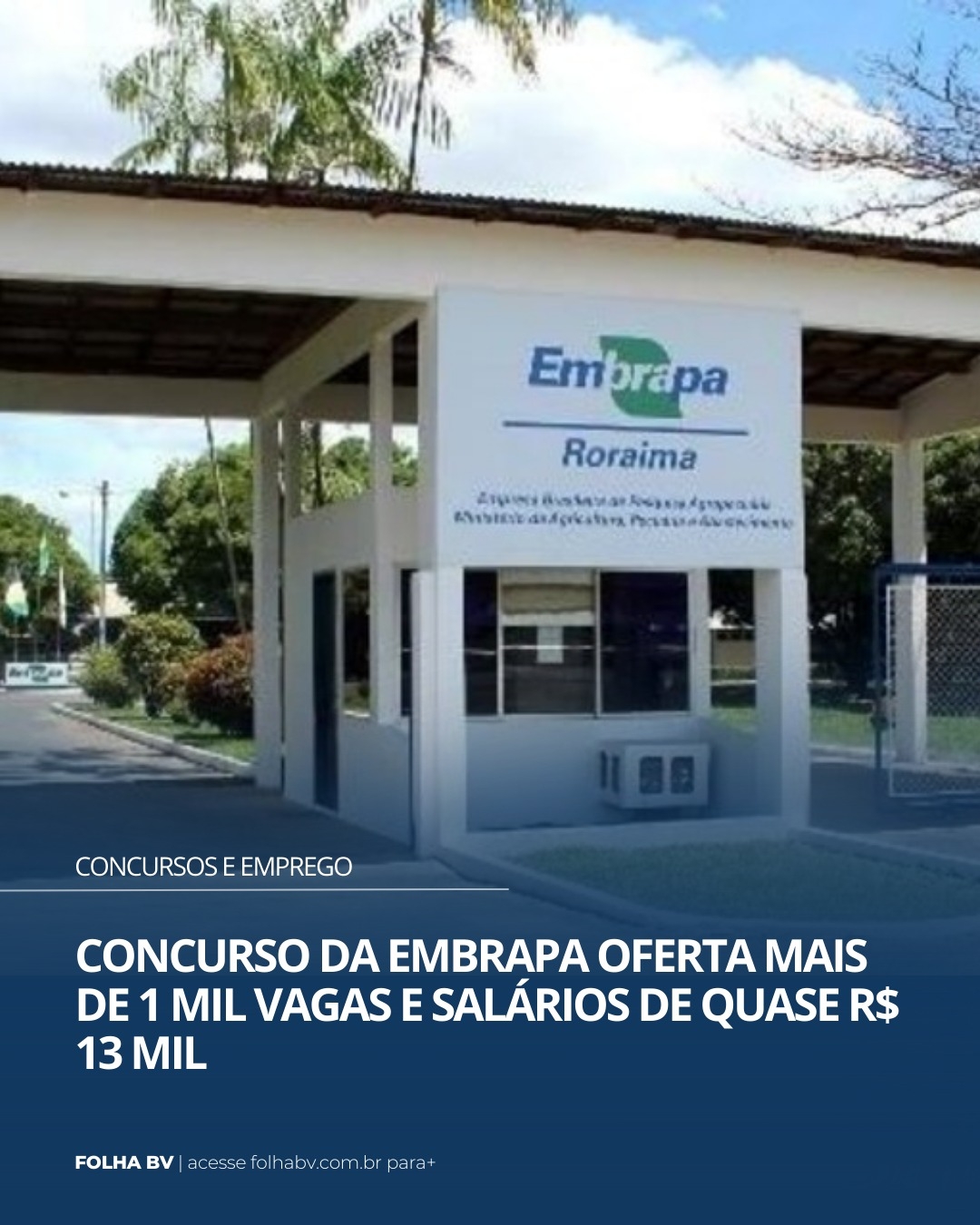 https://www.folhabv.com.br/concursos-e-emprego/concurso-da-embrapa-oferta-mais-de-1-mil-vagas-e-salarios-de-quase-r-13-mil/