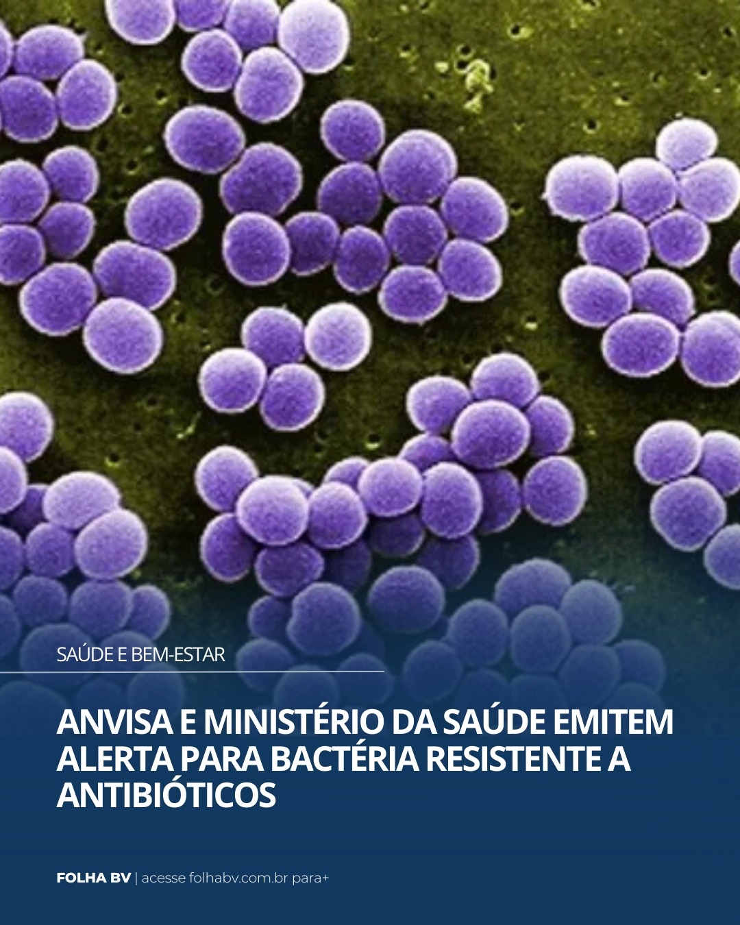 https://www.folhabv.com.br/saude-e-bem-estar/anvisa-e-ministerio-da-saude-emitem-alerta-para-bacteria-resistente-a-antibioticos/