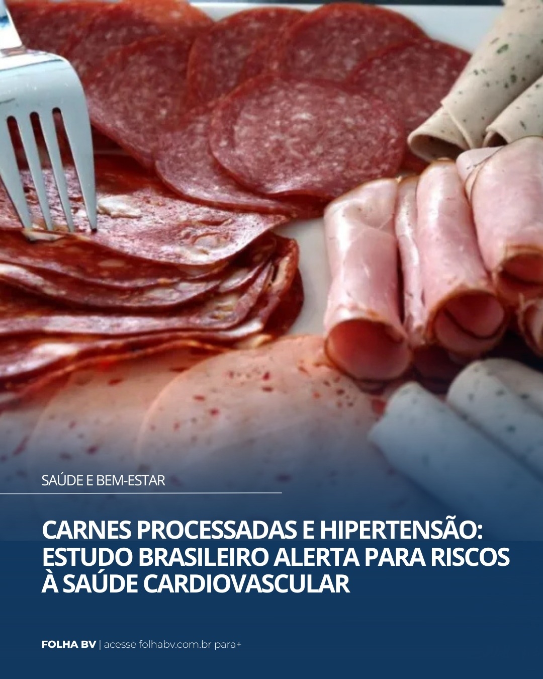 https://www.folhabv.com.br/saude-e-bem-estar/carnes-processadas-e-hipertensao-estudo-brasileiro-alerta-para-riscos-a-saude-cardiovascular/