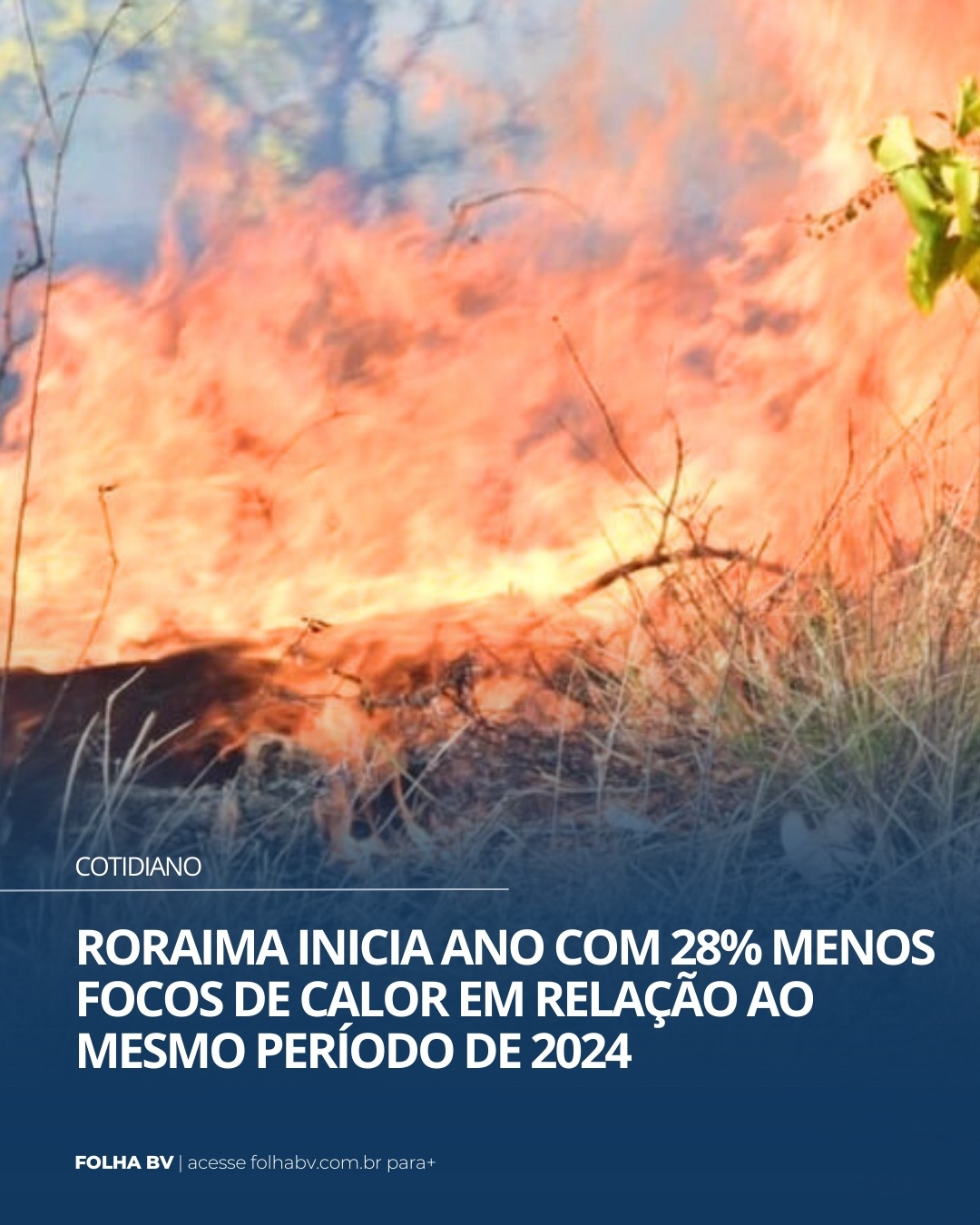 https://www.folhabv.com.br/cotidiano/roraima-inicia-ano-com-28-menos-focos-de-calor-em-relacao-ao-mesmo-periodo-de-2024/