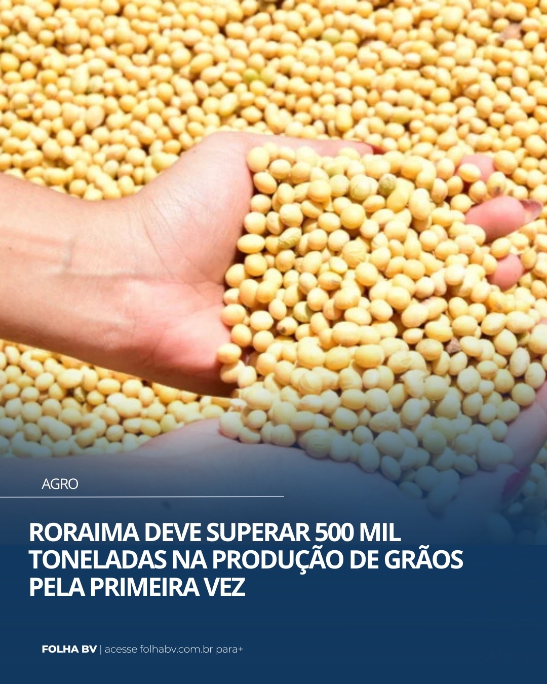 https://www.folhabv.com.br/agro/roraima-deve-superar-500-mil-toneladas-na-producao-de-graos-pela-primeira-vez/
