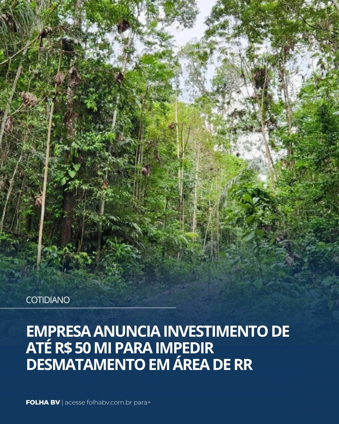 https://www.folhabv.com.br/cotidiano/empresa-anuncia-investimento-de-ate-r-50-mi-para-impedir-desmatamento-em-area-de-rr/