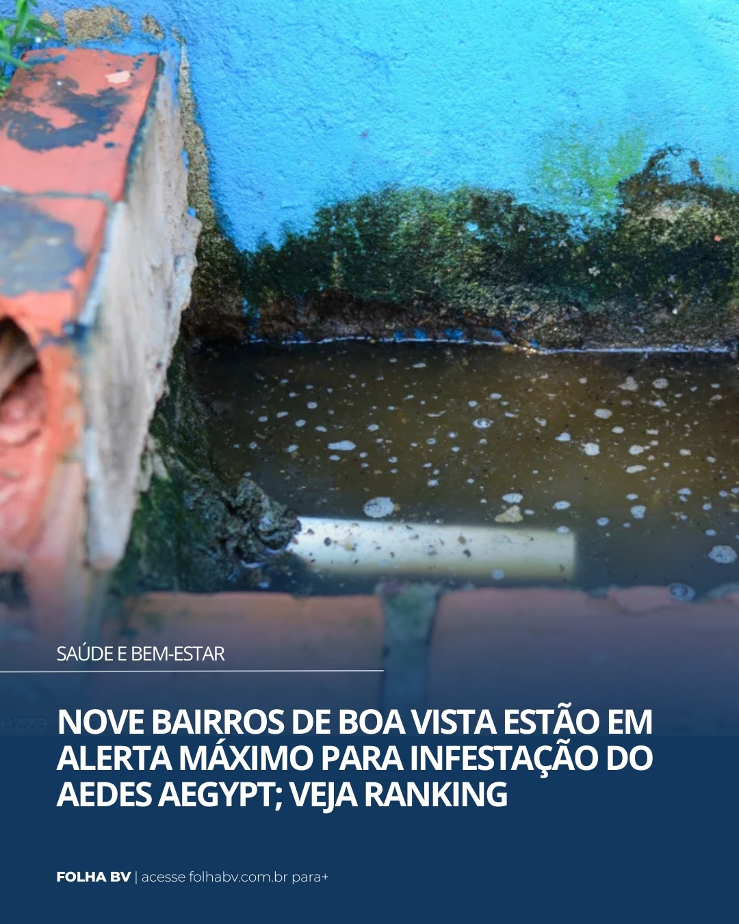 https://www.folhabv.com.br/saude-e-bem-estar/nove-bairros-de-boa-vista-estao-em-alerta-maximo-para-infestacao-do-aedes-aegypt-veja-ranking/