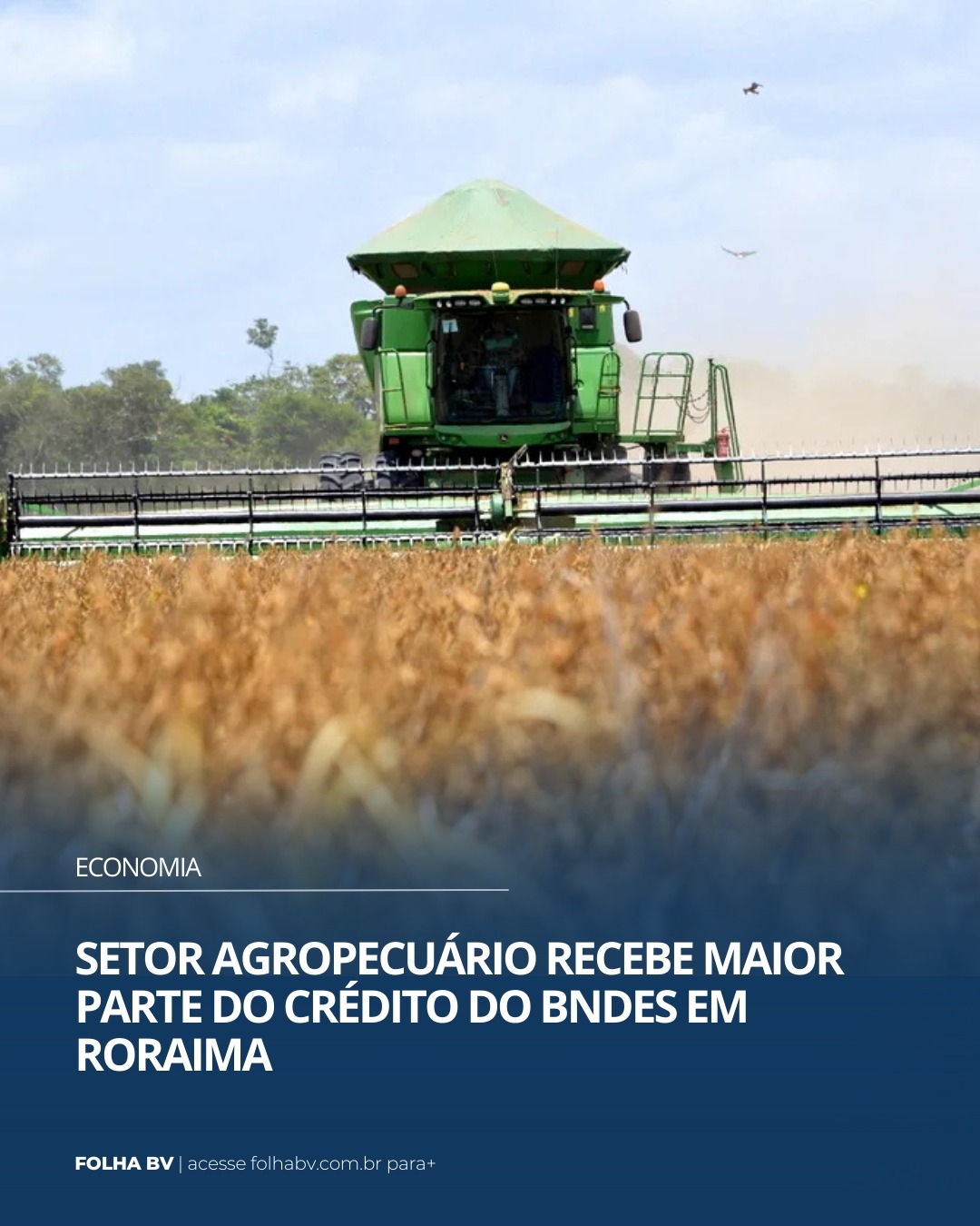 https://www.folhabv.com.br/economia/setor-agropecuario-recebe-maior-parte-do-credito-do-bndes-em-roraima/