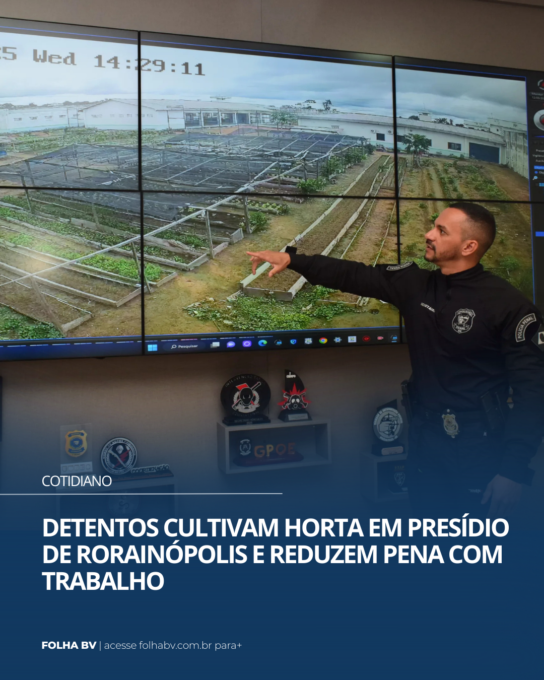 https://www.folhabv.com.br/cotidiano/detentos-cultivam-horta-em-presidio-de-rorainopolis-e-reduzem-pena-com-trabalho/