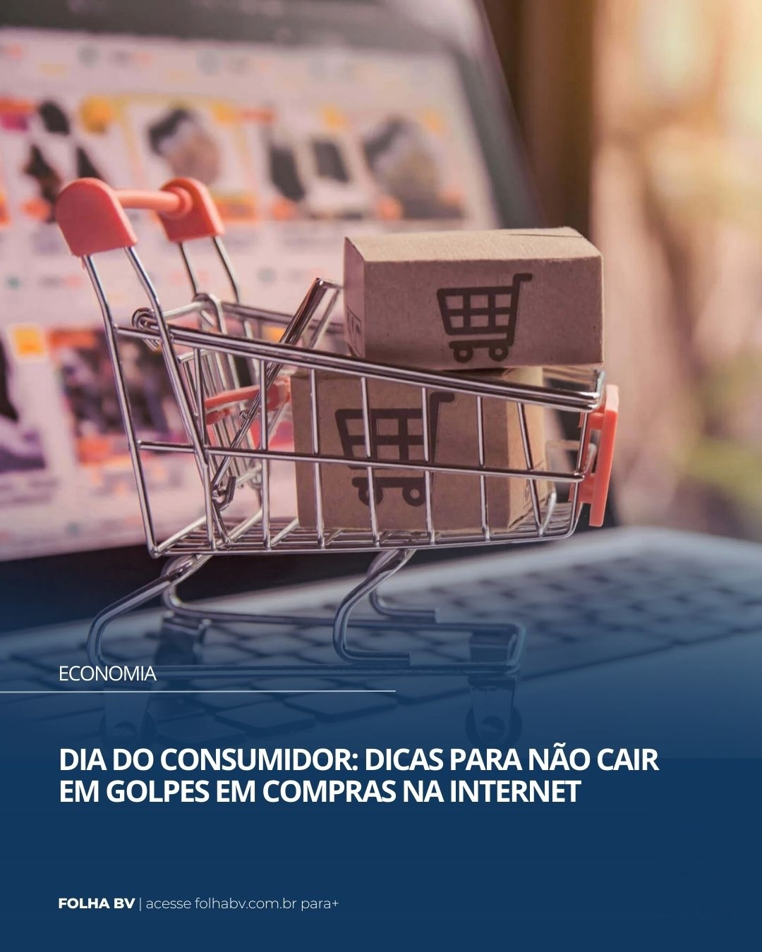 https://www.folhabv.com.br/cotidiano/dia-do-consumidor-dicas-para-nao-cair-em-golpes-em-compras-na-internet/