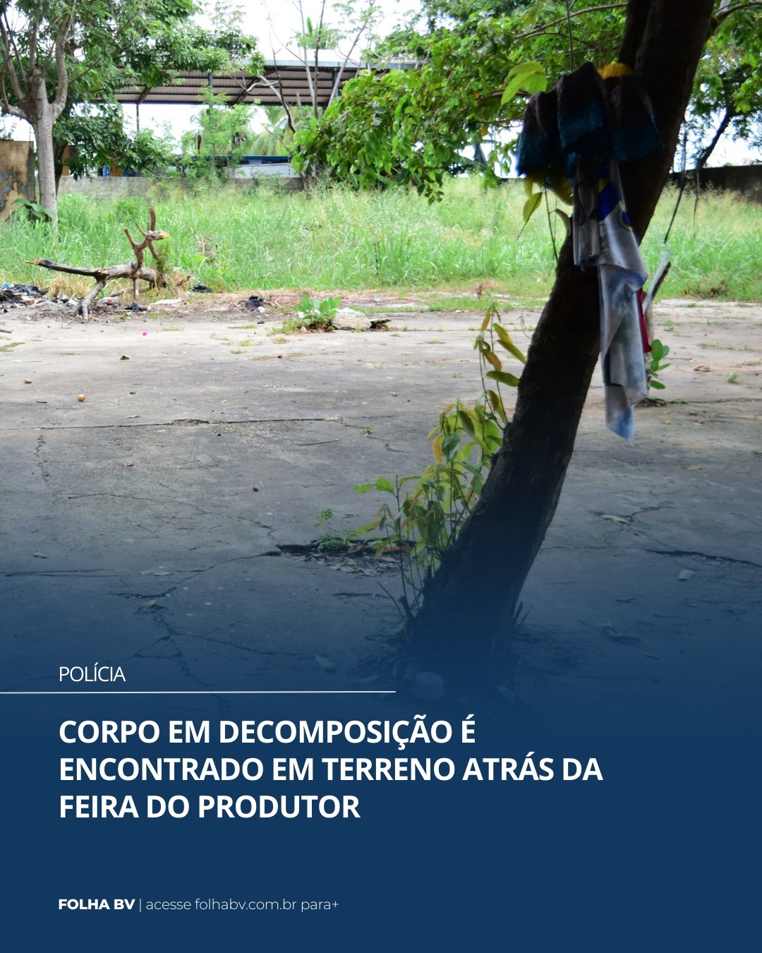https://www.folhabv.com.br/policia/corpo-em-decomposicao-e-encontrado-em-terreno-atras-da-feira-do-produtor/