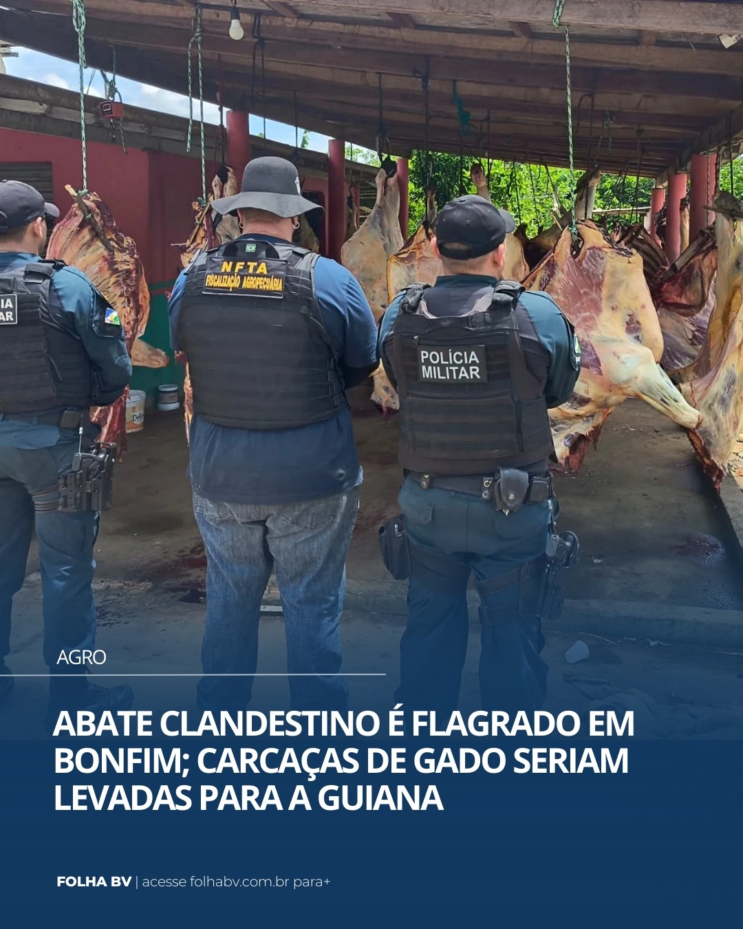 https://www.folhabv.com.br/agro/abate-clandestino-e-flagrado-em-bonfim-carcacas-de-gado-seriam-levadas-para-a-guiana/