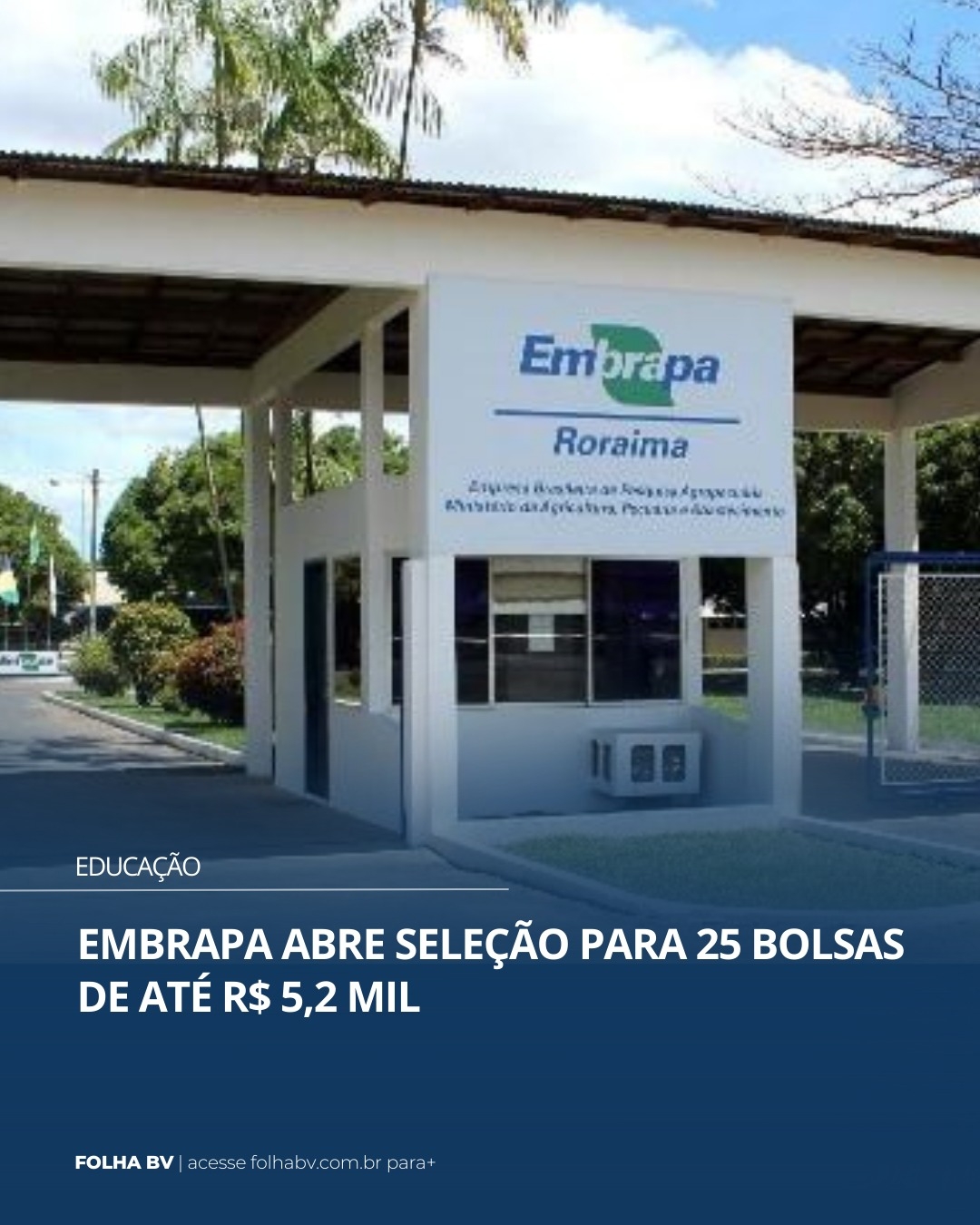 https://www.folhabv.com.br/educacao/embrapa-abre-selecao-para-25-bolsas-de-ate-r-52-mil/