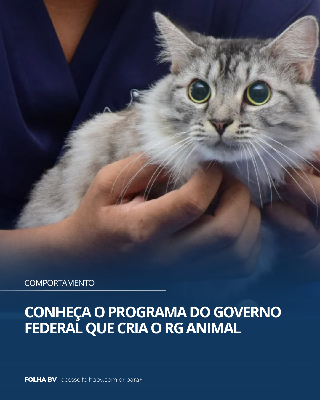 https://www.folhabv.com.br/comportamento/mundo-pet/conheca-o-programa-do-governo-federal-que-cria-o-rg-animal/