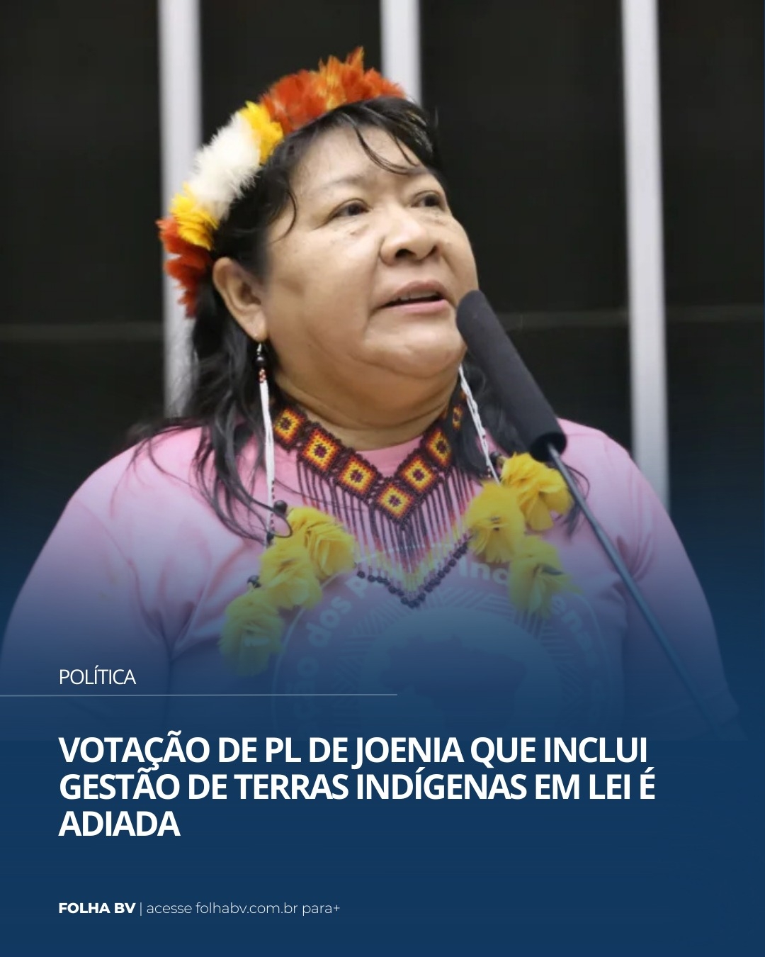 https://www.folhabv.com.br/politica/votacao-de-pl-de-joenia-que-inclui-gestao-de-terras-indigenas-em-lei-e-adiada/