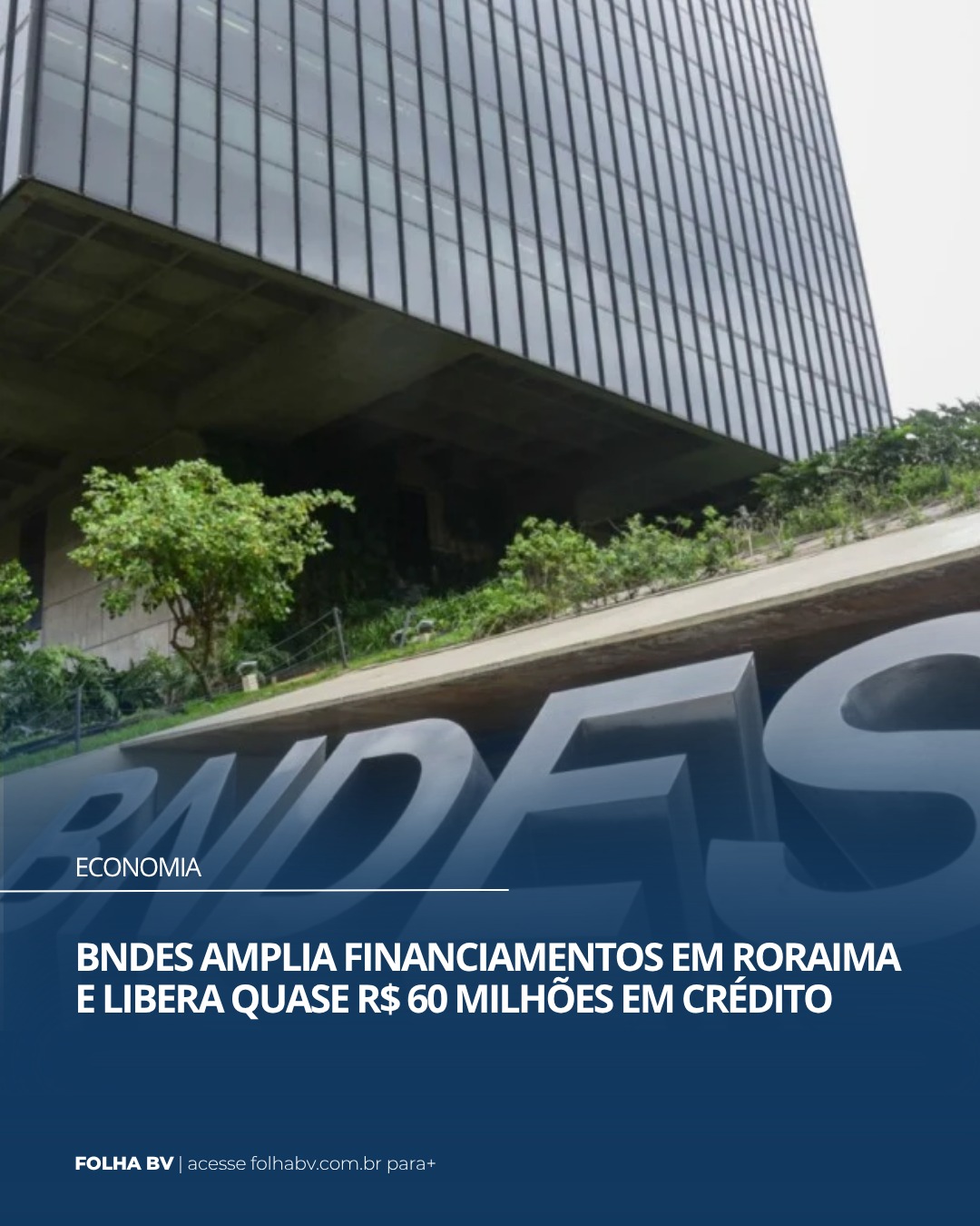 https://www.folhabv.com.br/economia/bndes-amplia-financiamentos-em-roraima-e-libera-quase-r-60-milhoes-em-credito/